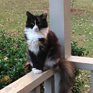 Meet your Posher, Mary